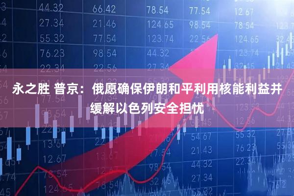 永之胜 普京：俄愿确保伊朗和平利用核能利益并缓解以色列安全担忧