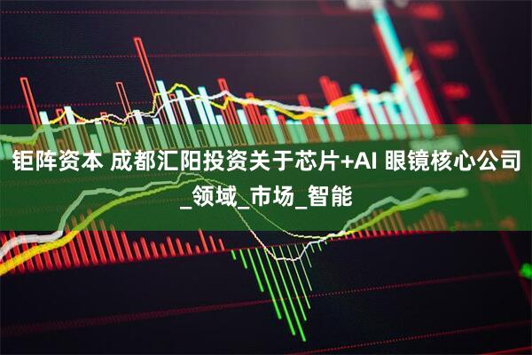 钜阵资本 成都汇阳投资关于芯片+AI 眼镜核心公司_领域_市场_智能