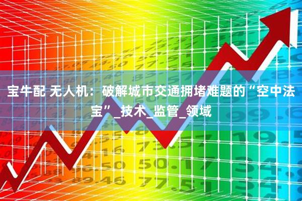宝牛配 无人机：破解城市交通拥堵难题的“空中法宝”_技术_监管_领域